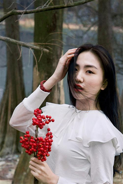 原神污版下载功能展示